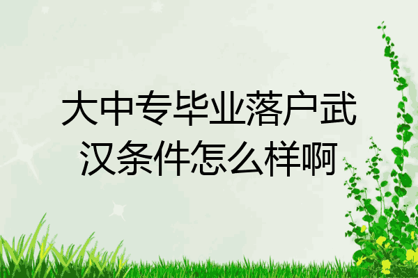 大中专毕业落户武汉条件怎么样啊