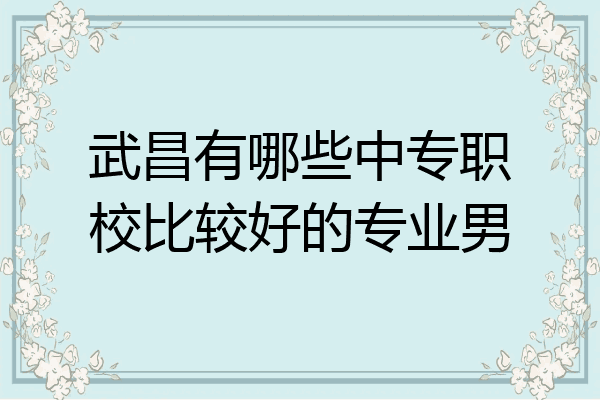 武昌有哪些中专职校比较好的专业男
