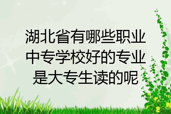 湖北省有哪些职业中专学校好的专业是大专生读的呢