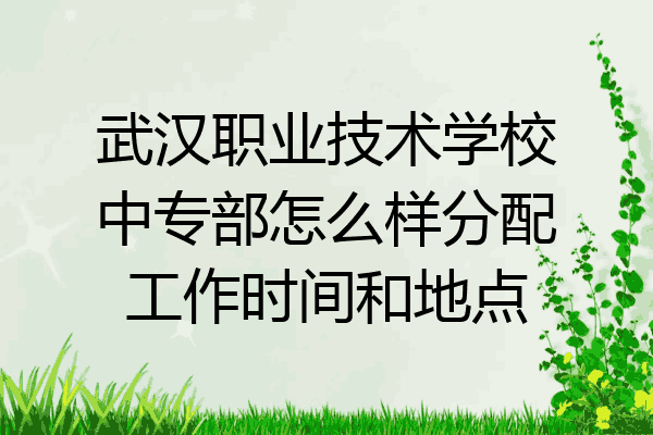 武汉职业技术学校中专部怎么样分配工作时间和地点