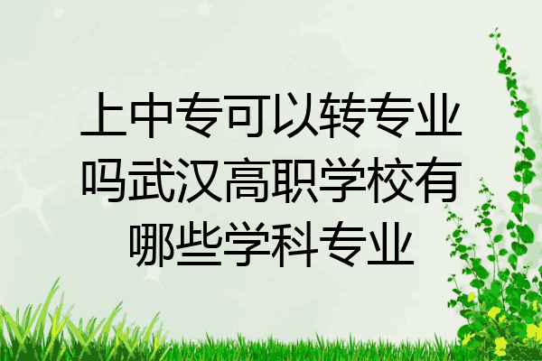 上中专可以转专业吗武汉高职学校有哪些学科专业