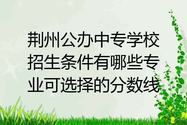 荆州公办中专学校招生条件有哪些专业可选择的分数线
