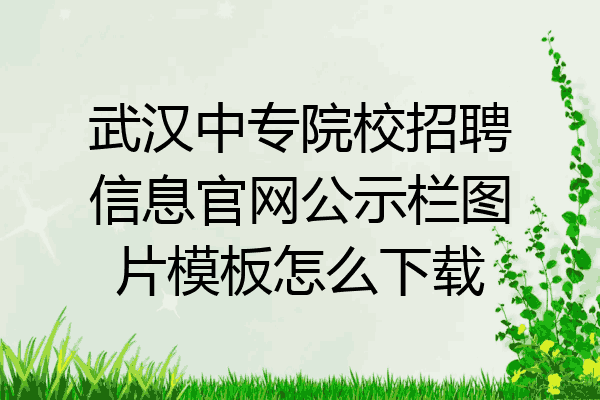 武汉中专院校招聘信息官网公示栏图片模板怎么下载