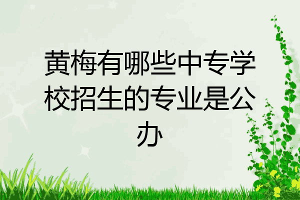 黄梅有哪些中专学校招生的专业是公办