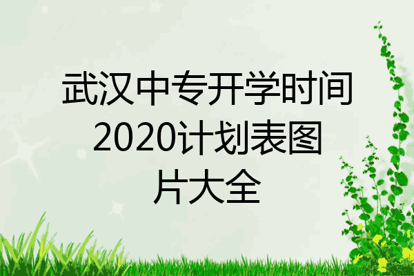 武汉中专开学时间2020计划表图片大全
