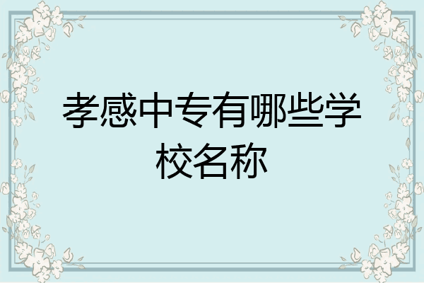 孝感中专有哪些学校名称