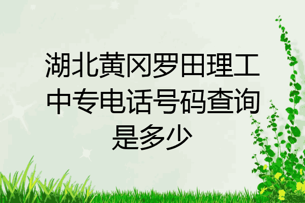 湖北黄冈罗田理工中专电话号码查询是多少