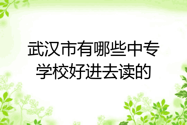 武汉市有哪些中专学校好进去读的