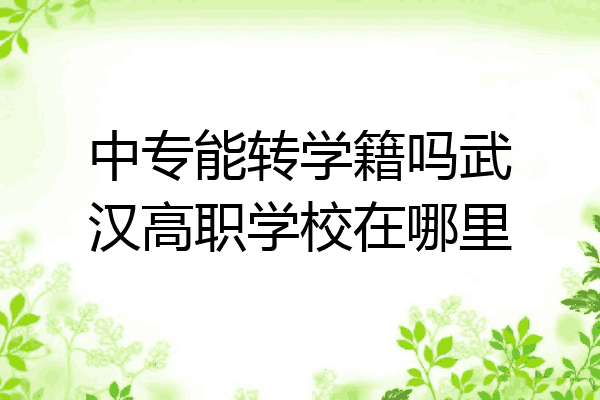 中专能转学籍吗武汉高职学校在哪里