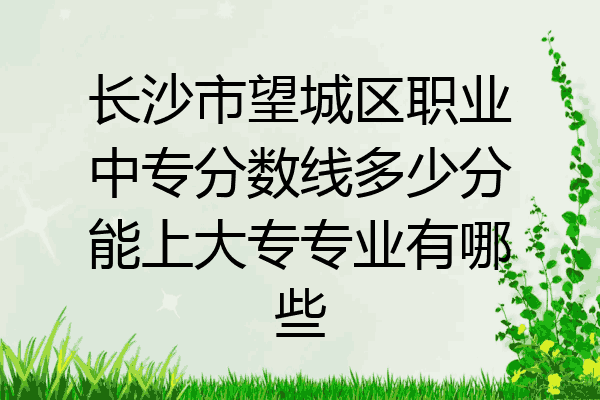 长沙市望城区职业中专分数线多少分能上大专专业有哪些