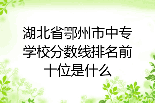 湖北省鄂州市中专学校分数线排名前十位是什么