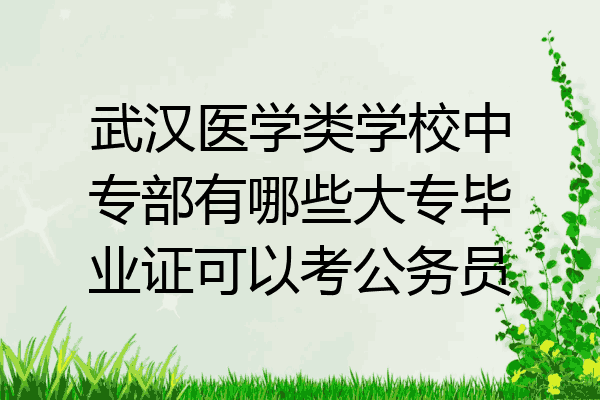 武汉医学类学校中专部有哪些大专毕业证可以考公务员