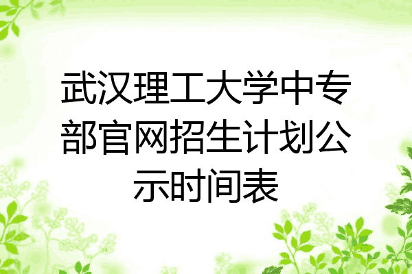 武汉理工大学中专部官网招生计划公示时间表