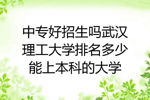 中专好招生吗武汉理工大学排名多少能上本科的大学