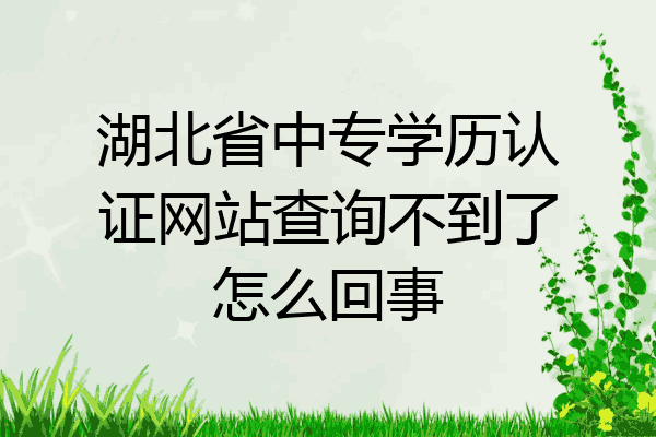 湖北省中专学历认证网站查询不到了怎么回事