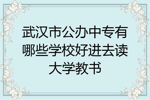 武汉市公办中专有哪些学校好进去读大学教书