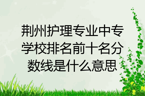 荆州护理专业中专学校排名前十名分数线是什么意思