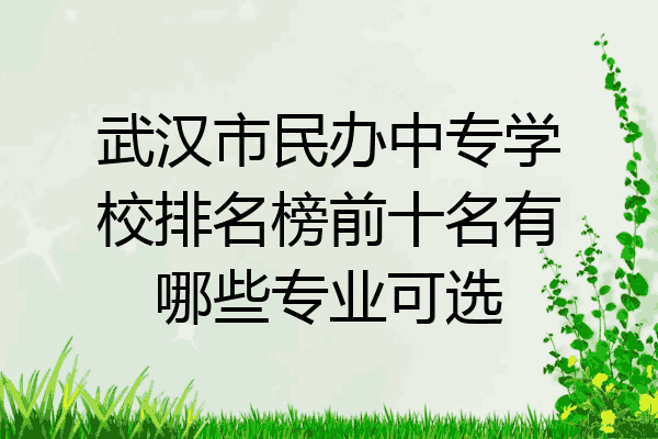 武汉市民办中专学校排名榜前十名有哪些专业可选
