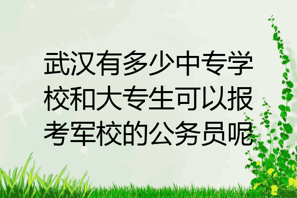 武汉有多少中专学校和大专生可以报考军校的公务员呢