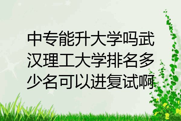 中专能升大学吗武汉理工大学排名多少名可以进复试啊
