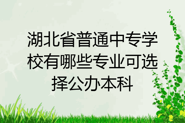 湖北省普通中专学校有哪些专业可选择公办本科