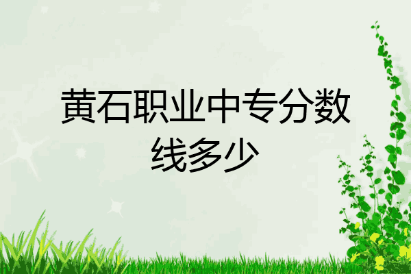 黄石职业中专分数线多少