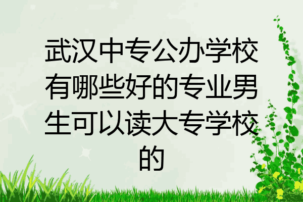 武汉中专公办学校有哪些好的专业男生可以读大专学校的