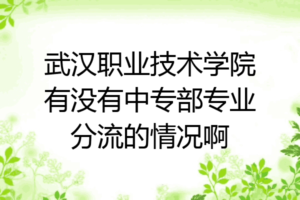 武汉职业技术学院有没有中专部专业分流的情况啊