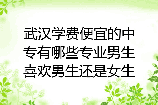 武汉学费便宜的中专有哪些专业男生喜欢男生还是女生
