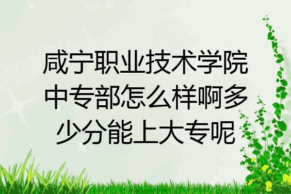 咸宁职业技术学院中专部怎么样啊多少分能上大专呢