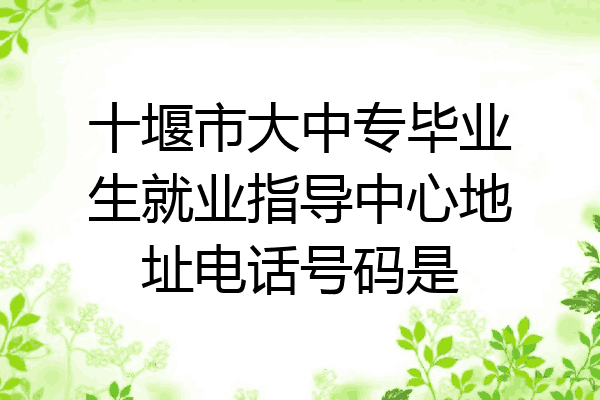 十堰市大中专毕业生就业指导中心地址电话号码是