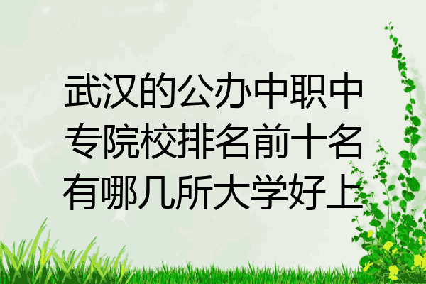 武汉的公办中职中专院校排名前十名有哪几所大学好上