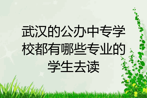 武汉的公办中专学校都有哪些专业的学生去读