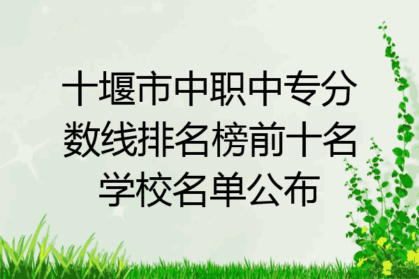 十堰市中职中专分数线排名榜前十名学校名单公布