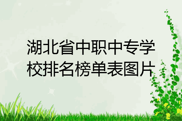 湖北省中职中专学校排名榜单表图片