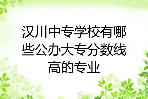 汉川中专学校有哪些公办大专分数线高的专业