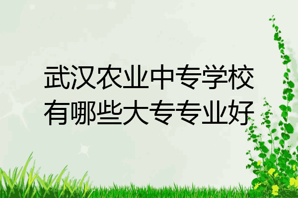 武汉农业中专学校有哪些大专专业好