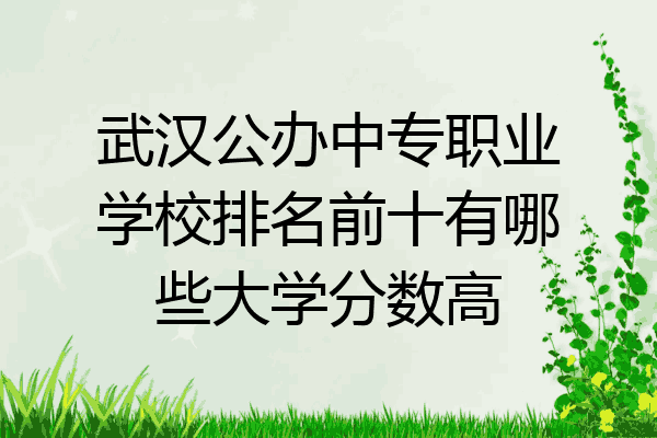武汉公办中专职业学校排名前十有哪些大学分数高