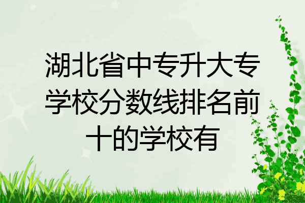 湖北省中专升大专学校分数线排名前十的学校有