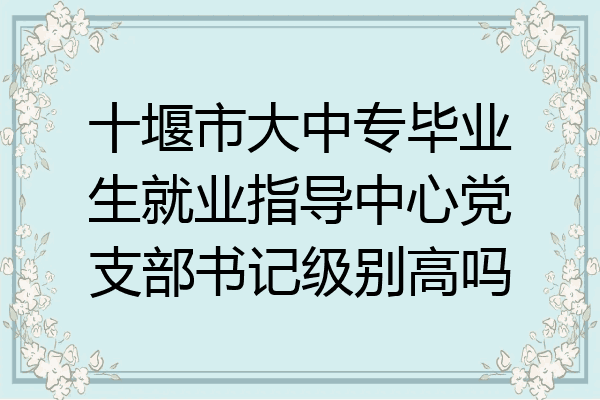 十堰市大中专毕业生就业指导中心党支部书记级别高吗