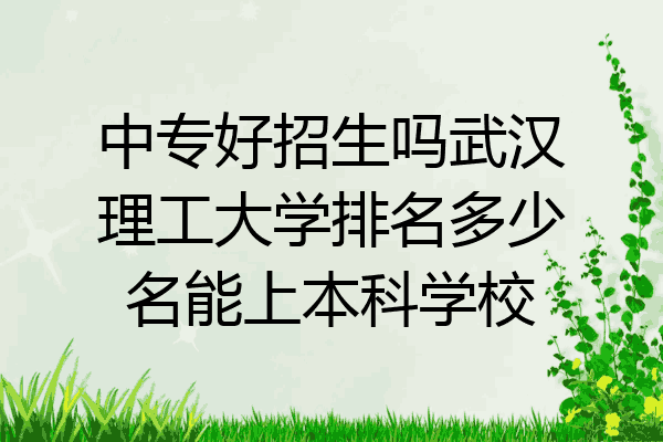 中专好招生吗武汉理工大学排名多少名能上本科学校