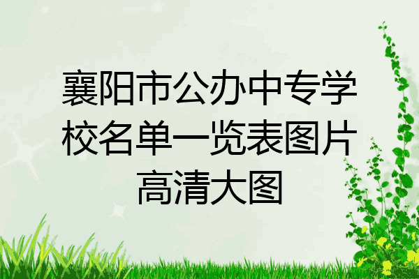 襄阳市公办中专学校名单一览表图片高清大图