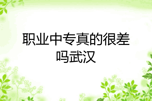 职业中专真的很差吗武汉