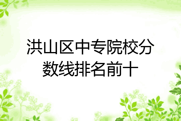 洪山区中专院校分数线排名前十