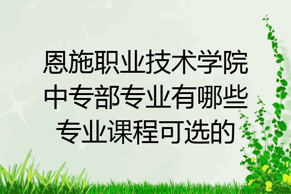 恩施职业技术学院中专部专业有哪些专业课程可选的