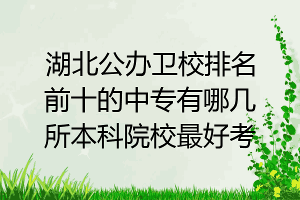 湖北公办卫校排名前十的中专有哪几所本科院校最好考