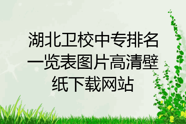 湖北卫校中专排名一览表图片高清壁纸下载网站