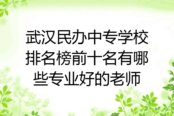 武汉民办中专学校排名榜前十名有哪些专业好的老师