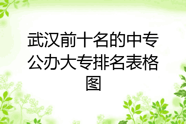 武汉前十名的中专公办大专排名表格图