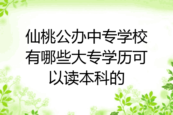 仙桃公办中专学校有哪些大专学历可以读本科的